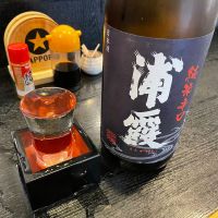 浦霞