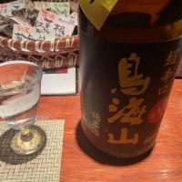 鳥海山
