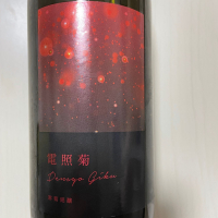 電照菊