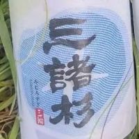 みむろ杉
