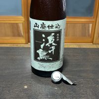 浜千鳥