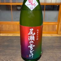 尾瀬の雪どけ