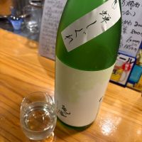 亀の海