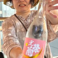 光栄菊