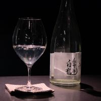 永平寺白龍