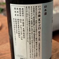 いづみ橋のレビュー by_X Carter