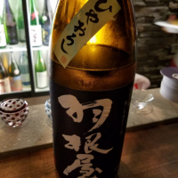 富山県の酒