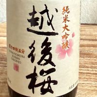 越後桜