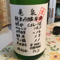 亀泉