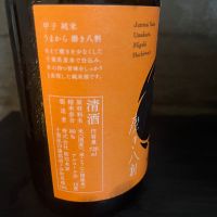 甲子のレビュー by_野見ます代