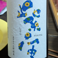 紫宙