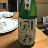 
            風の森_
            Kiwa Otsukaさん