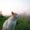 とこしえ