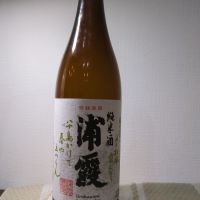 浦霞