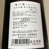 亀の海のレビュー by_惣Ｎ郎