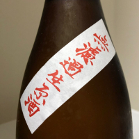 亀の海のレビュー by_惣Ｎ郎