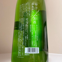 甲子のレビュー by_惣Ｎ郎