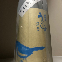 
            庭のうぐいす_
            惣Ｎ郎さん