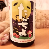
            高千代_
            らんとまるさん