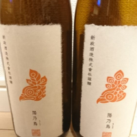 
            陽乃鳥_
            もこもこの剣士さん
