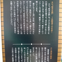 大七のレビュー by_Kazutoshi Koga