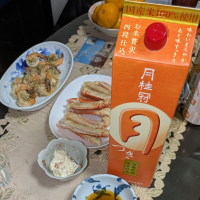 月のレビュー by_Kazutoshi Koga