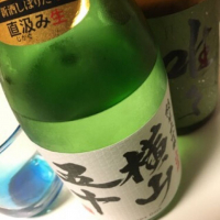 
            横山五十_
            マロニーさん