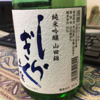 
            土佐しらぎく_
            Katsuhiro Satoさん