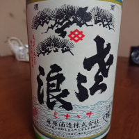 琵琶のさゝ浪