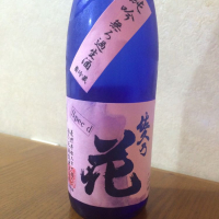 
            佐久乃花_
            Urei太郎さん