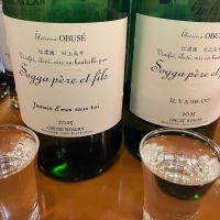 ソガペールエフィス