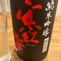 寒紅梅