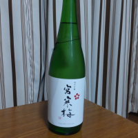 宮寒梅
