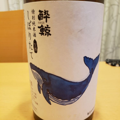 高知県の酒