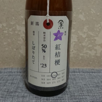 新潟県の酒