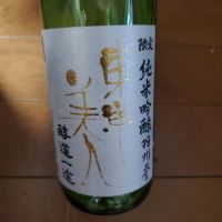 東洋美人