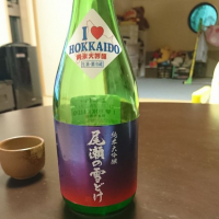 尾瀬の雪どけ