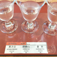 東力士