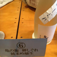 
            亀の海_
            Mr.orangeさん