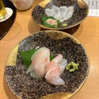羽根屋のレビュー by_さくら