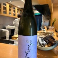 南部美人
