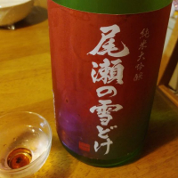 
            尾瀬の雪どけ_
            かとちんさん