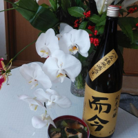 
            而今_
            かとちんさん
