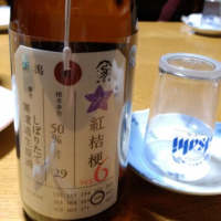 新潟県の酒