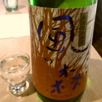 
            風の森_
            かとちんさん