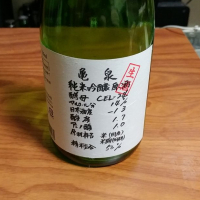 高知県の酒