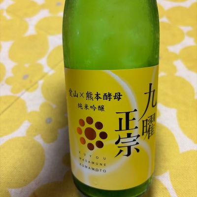 九曜正宗のレビュー by_心想事成