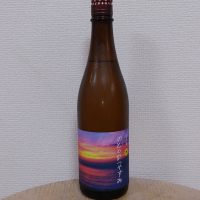 奥能登の白菊