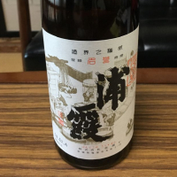 浦霞
