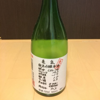 高知県の酒